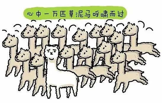 新州OC考试考场发生意外,考试取消,家长一脸懵(组图) - 2