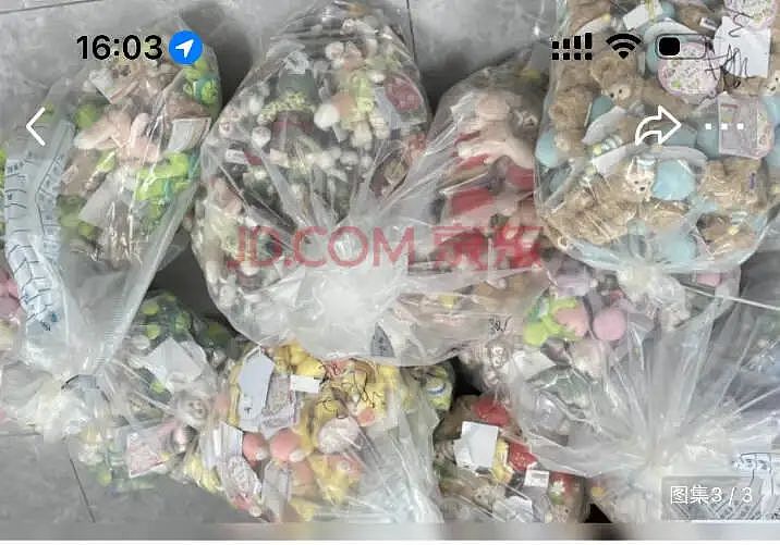 “3万拿下271个走私的玲娜贝儿、白菜价打包始祖鸟?”多少中产把“海关拍卖”蹲成捡漏圣地(组图) - 13