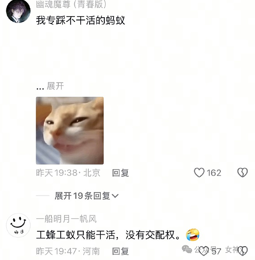 【爆笑】男大学生天天给60岁富婆留言, 4个月后成功追到手?网友迷惑:这太炸裂(视频/组图) - 35