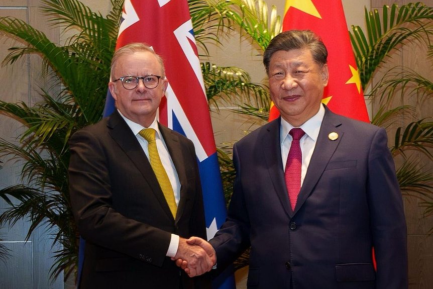 中国议题不是本届澳大利亚联邦大选的决定因素（组图） - 2