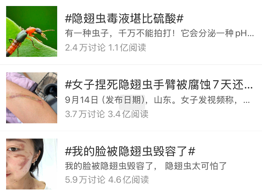 有人因此“毁容”!近期这种虫子很活跃,遇到千万不能拍!正确应对只需一招(组图) - 2