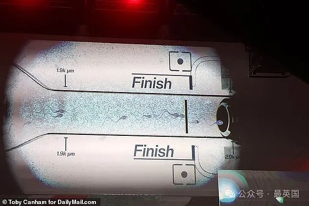 17岁少年斥资$150万办“全球首届精子赛跑”!网友惊叹太离谱(组图) - 3