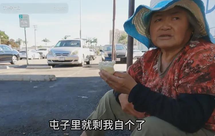 东北67岁大妈到美国捡破烂，一天赚5美元，被采访时：还是美国好（组图） - 3