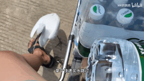 第一批参加科考旅行的中产,已经返贫了(组图) - 19