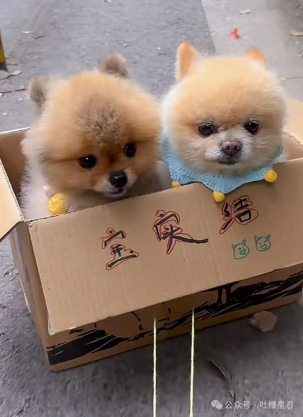【爆笑】“五一出去玩男友只订便宜酒店...?”网友:啊啊啊原来你们谈的是这种(组图) - 76