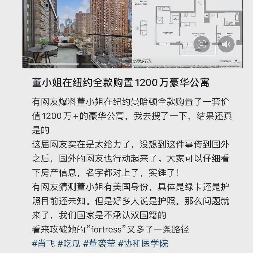董袭莹全款买下纽约豪华公寓,网曝更多内幕(组图) - 1