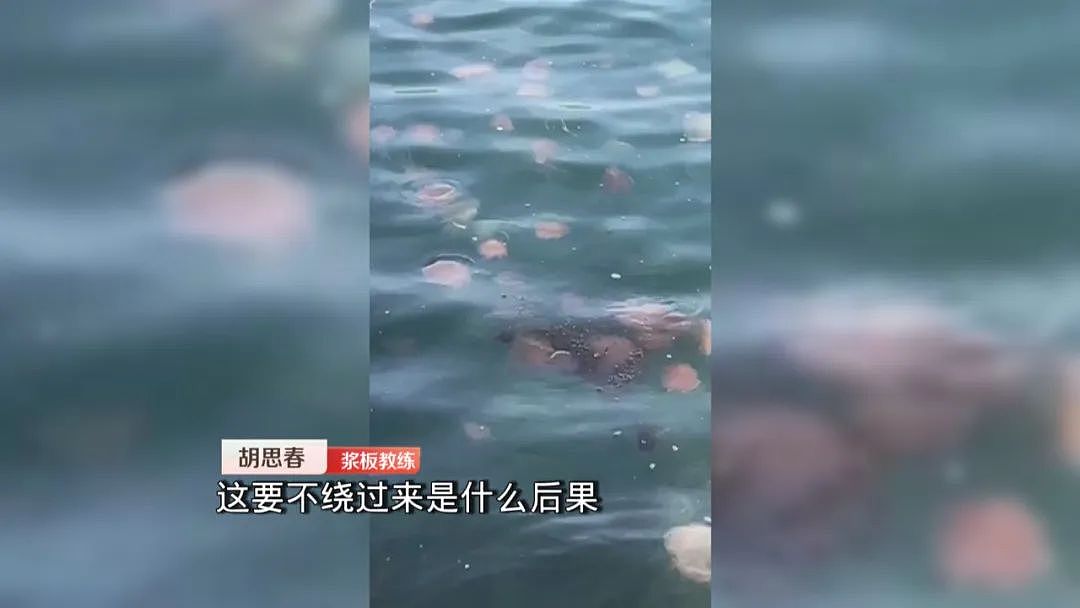 立即远离！外出遇到这种“塑料袋“别碰，有毒！有人伤口溃烂深可见脂肪…（组图） - 4