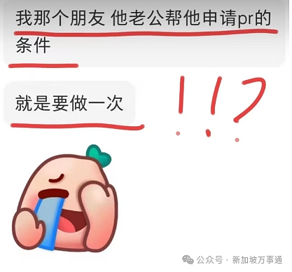 知三当三、献祭亲妈、抢闺蜜老公...为拿新加坡绿卡ta们都拼了！（组图） - 10
