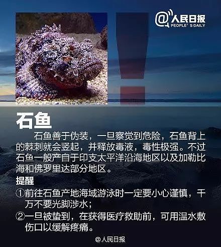 立即远离！外出遇到这种“塑料袋“别碰，有毒！有人伤口溃烂深可见脂肪…（组图） - 14