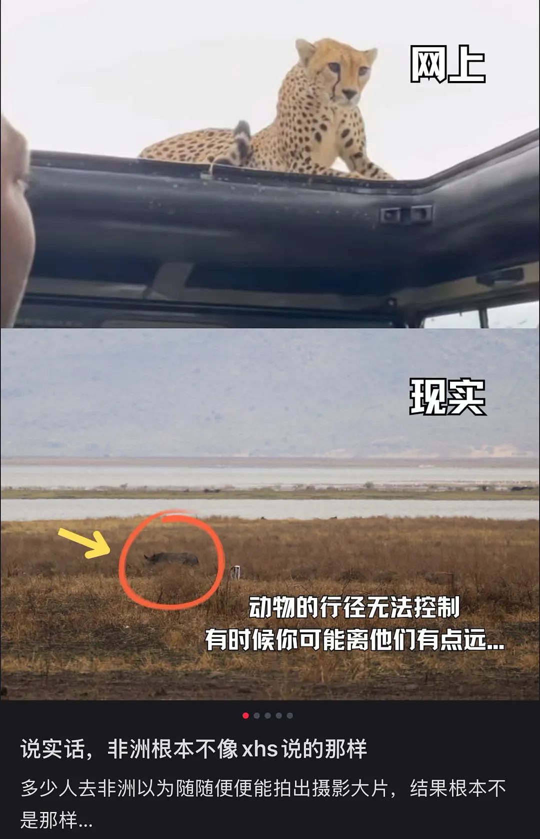 第一批参加科考旅行的中产,已经返贫了(组图) - 8