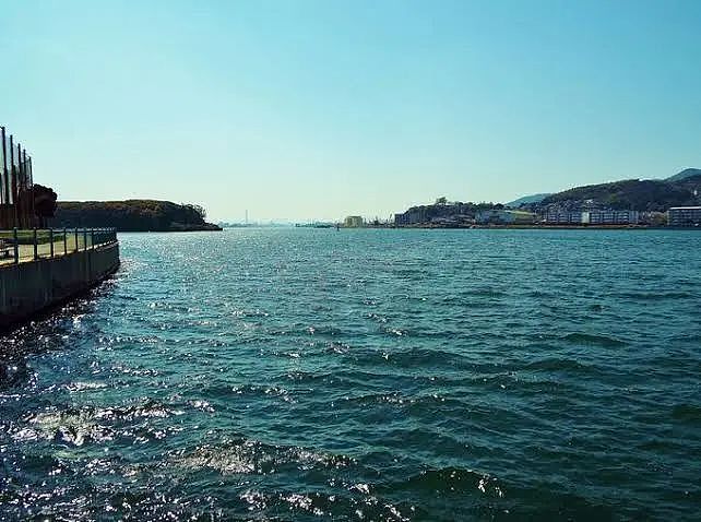 中国女游客日本邮轮上跳海，紧急搜救至今无果，监控曝光令人揪心…（组图） - 8