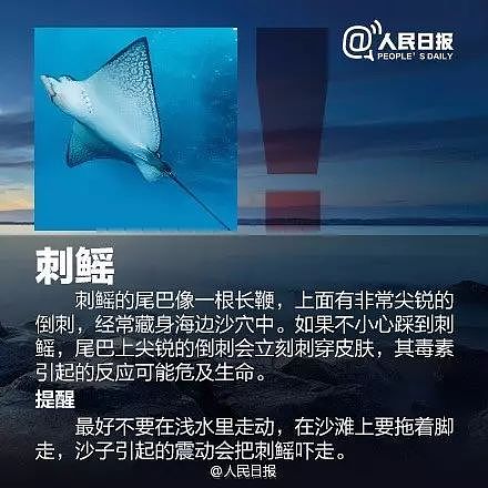 立即远离！外出遇到这种“塑料袋“别碰，有毒！有人伤口溃烂深可见脂肪…（组图） - 13