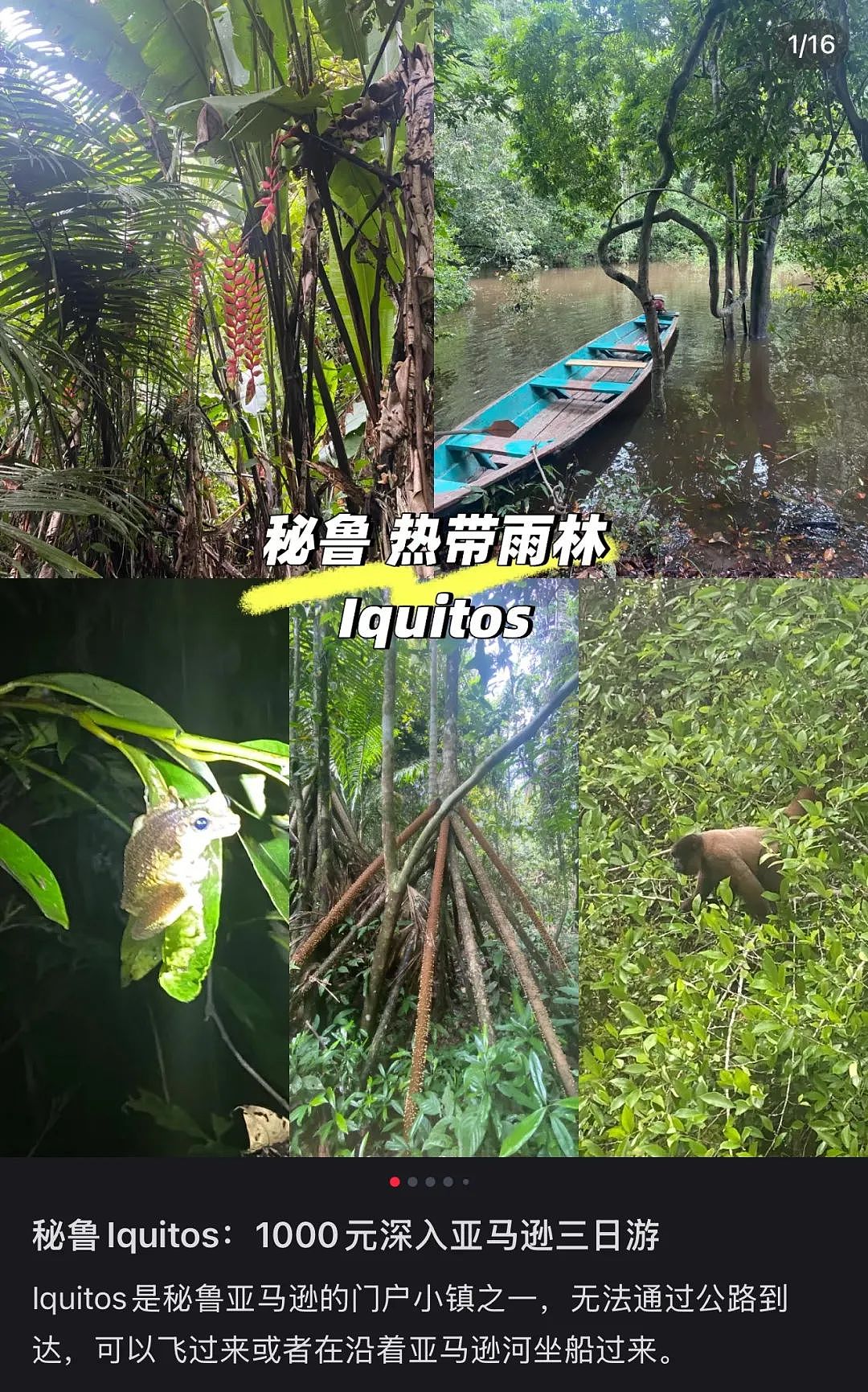 第一批参加科考旅行的中产,已经返贫了(组图) - 25