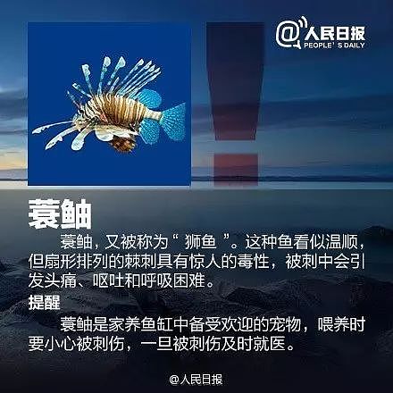 立即远离！外出遇到这种“塑料袋“别碰，有毒！有人伤口溃烂深可见脂肪…（组图） - 16