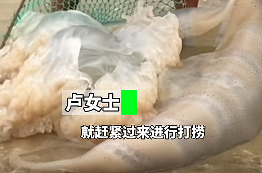 立即远离！外出遇到这种“塑料袋“别碰，有毒！有人伤口溃烂深可见脂肪…（组图） - 5