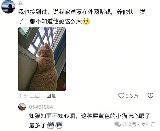 【爆笑】老公跟女同事这样拍照正常吗？网友辣评：他们肯定亲密接触过（组图） - 9