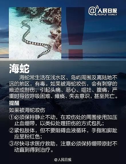 立即远离！外出遇到这种“塑料袋“别碰，有毒！有人伤口溃烂深可见脂肪…（组图） - 15