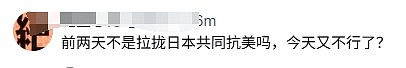 中日在钓鱼岛又干起来了！官方互相指责对方闯入，中国社媒再掀反日浪潮（组图） - 6