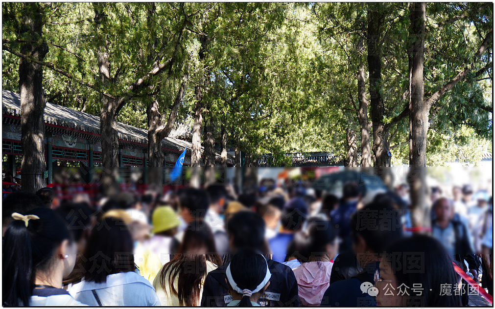 五一假期末尾更疯狂!国内景区人流量再攀高峰,心肝脾肺肾都挤出来(视频/组图) - 53