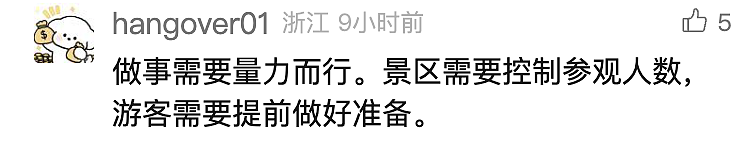 中国知名景区出现严重拥堵，上千旅客被困大喊“退票”！下山需排队8小时（视频/组图） - 6