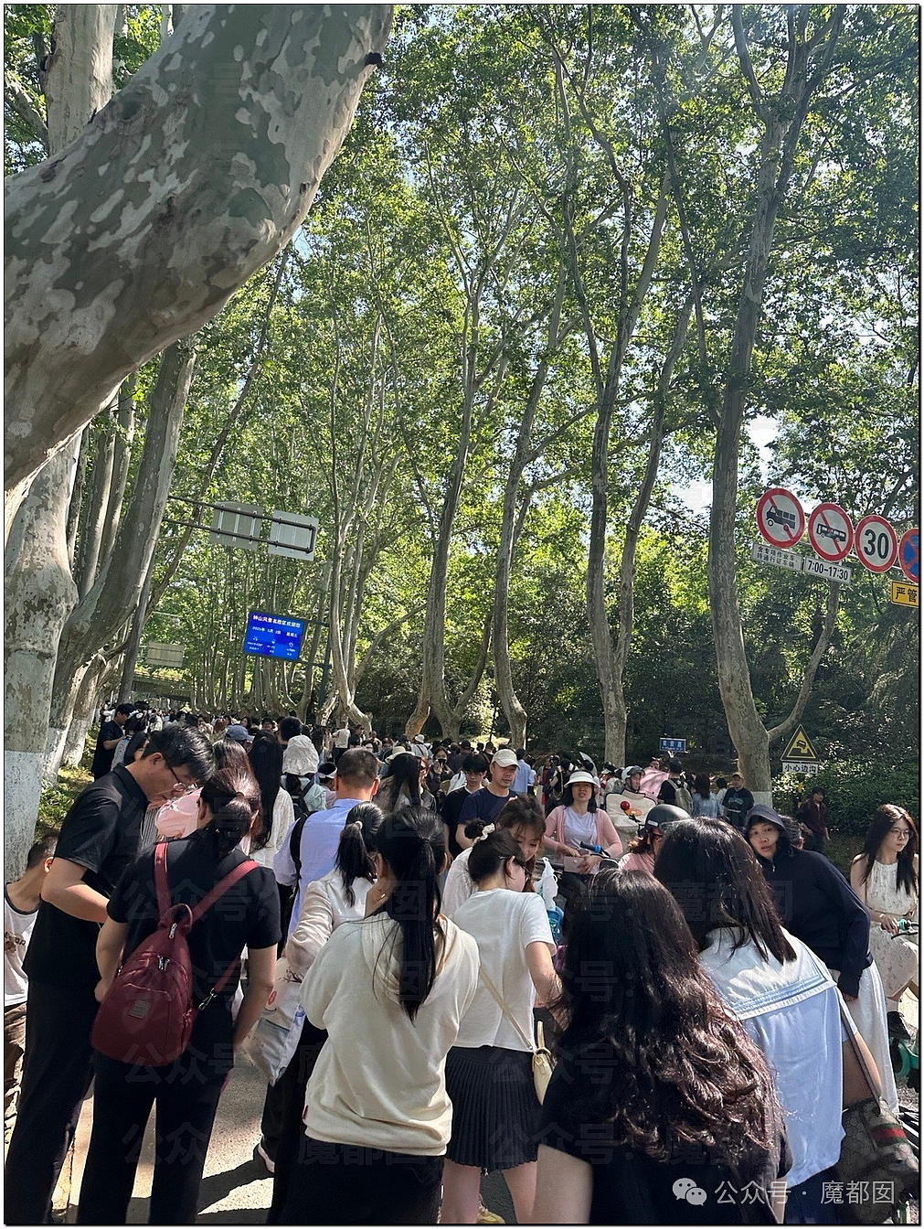 五一假期末尾更疯狂!国内景区人流量再攀高峰,心肝脾肺肾都挤出来(视频/组图) - 96