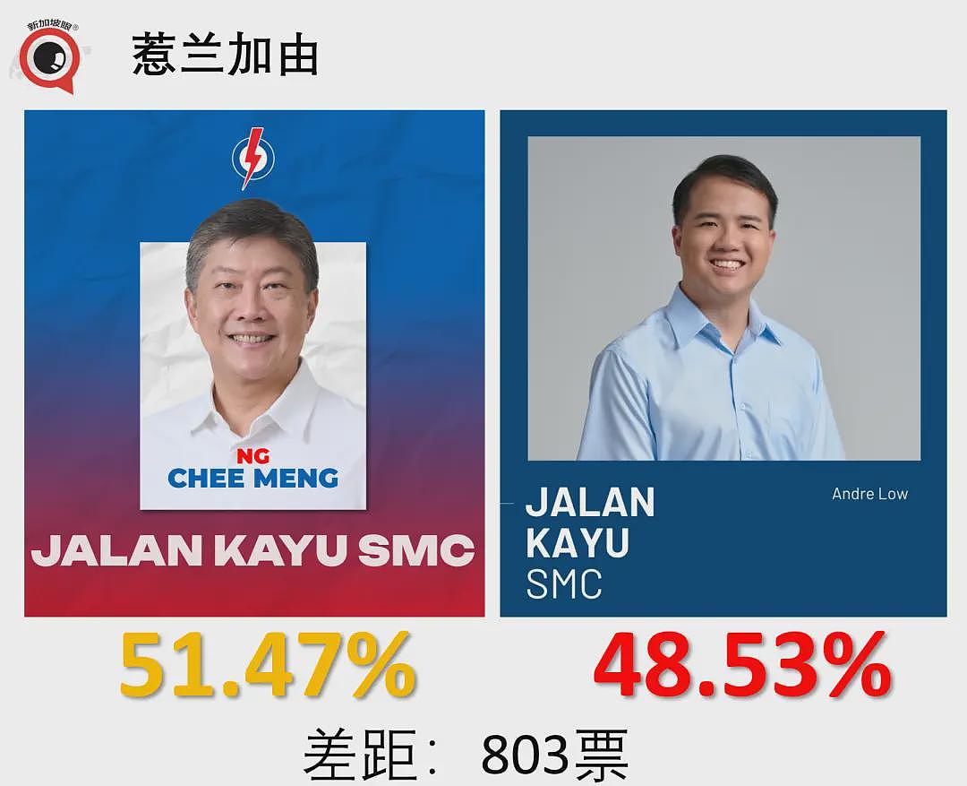 新加坡大选，执政党狂胜！有些人连裤衩都输掉了（组图） - 10