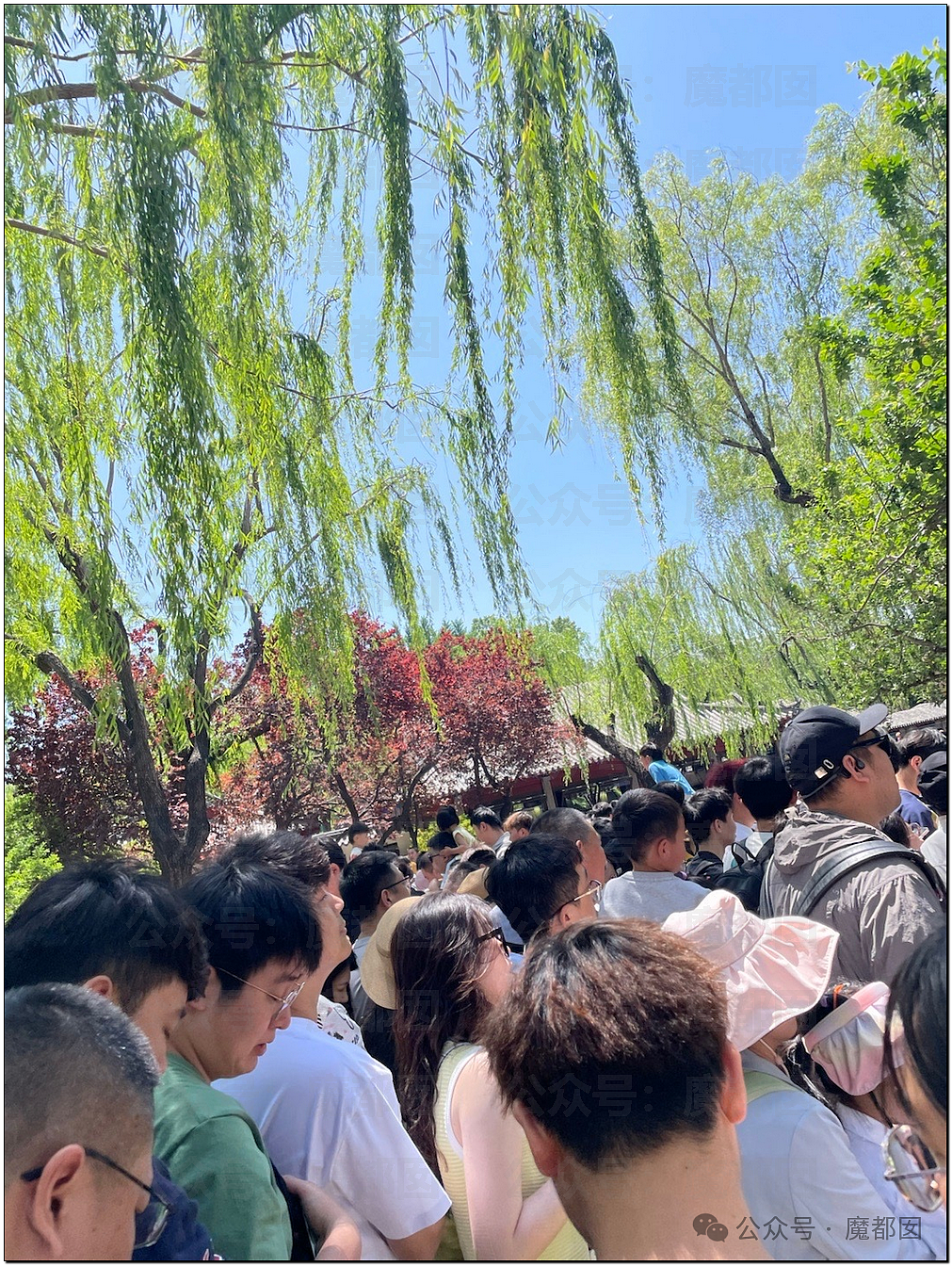 五一假期末尾更疯狂!国内景区人流量再攀高峰,心肝脾肺肾都挤出来(视频/组图) - 116