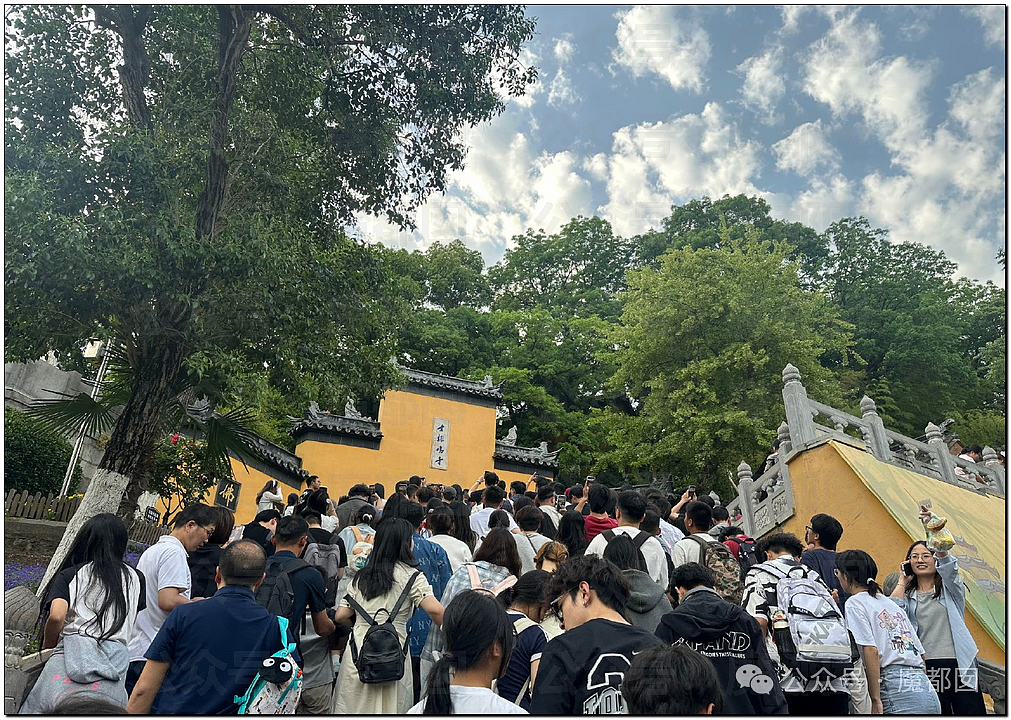 五一假期末尾更疯狂!国内景区人流量再攀高峰,心肝脾肺肾都挤出来(视频/组图) - 97