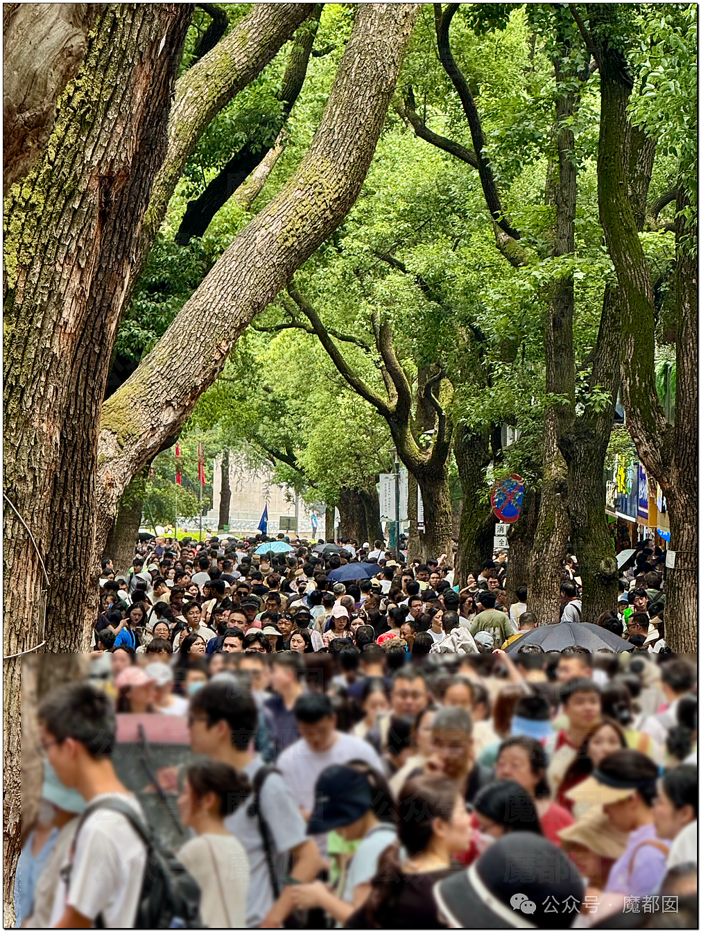 五一假期末尾更疯狂!国内景区人流量再攀高峰,心肝脾肺肾都挤出来(视频/组图) - 74