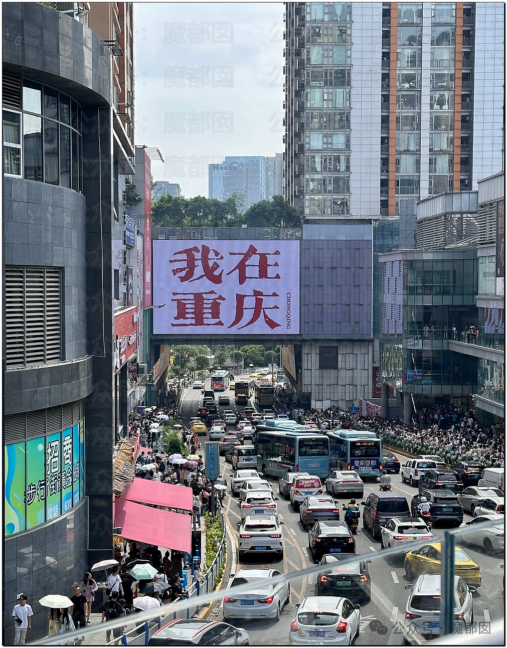 五一假期末尾更疯狂!国内景区人流量再攀高峰,心肝脾肺肾都挤出来(视频/组图) - 11