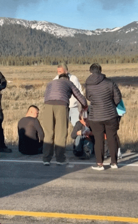 13名中国公民死伤！美国黄石公园发生惨烈车祸，华人旅行社发声（组图） - 7