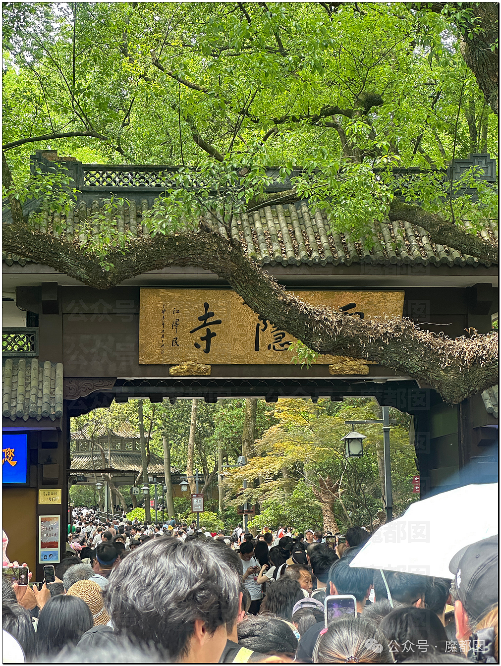 五一假期末尾更疯狂!国内景区人流量再攀高峰,心肝脾肺肾都挤出来(视频/组图) - 33