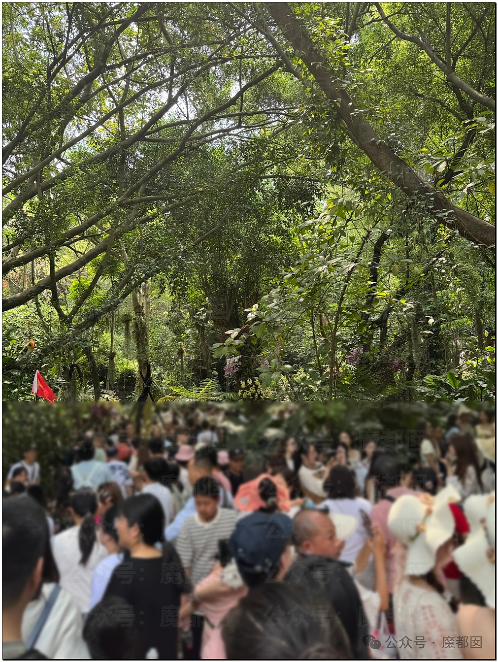 五一假期末尾更疯狂!国内景区人流量再攀高峰,心肝脾肺肾都挤出来(视频/组图) - 6