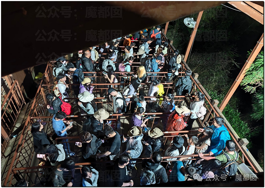 五一假期末尾更疯狂!国内景区人流量再攀高峰,心肝脾肺肾都挤出来(视频/组图) - 38