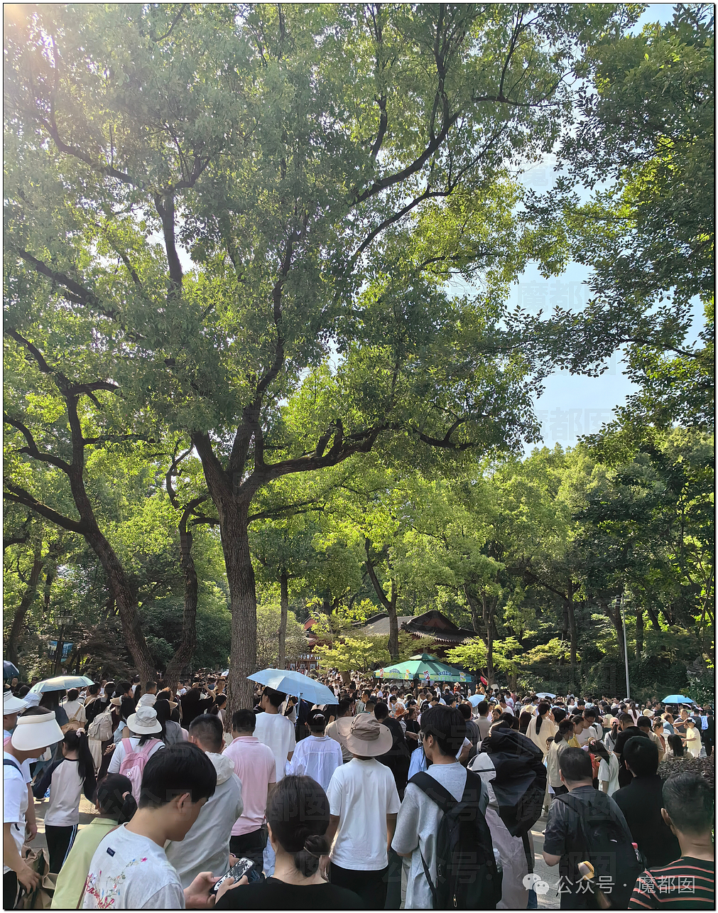 五一假期末尾更疯狂!国内景区人流量再攀高峰,心肝脾肺肾都挤出来(视频/组图) - 27