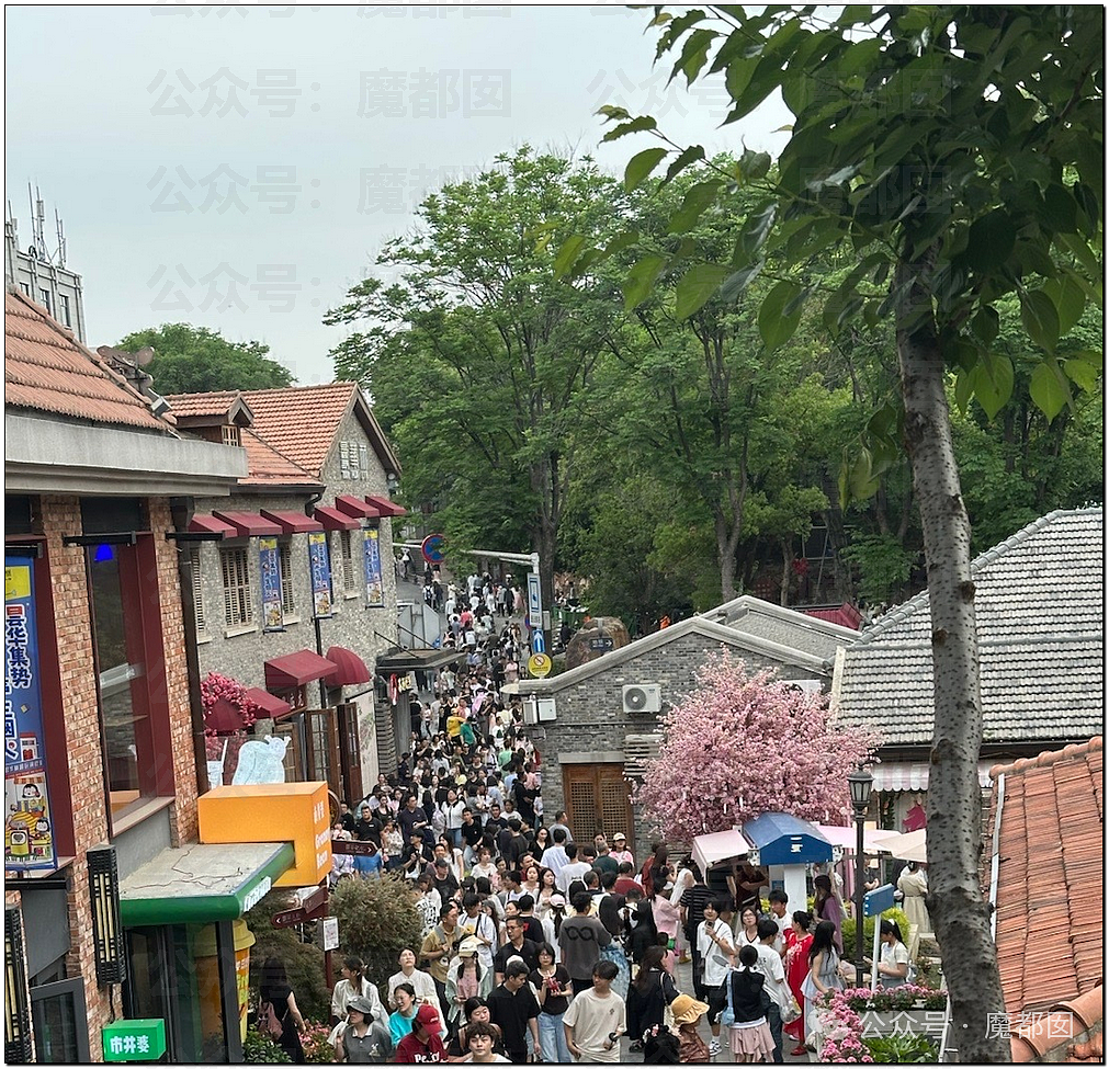 五一假期末尾更疯狂!国内景区人流量再攀高峰,心肝脾肺肾都挤出来(视频/组图) - 67