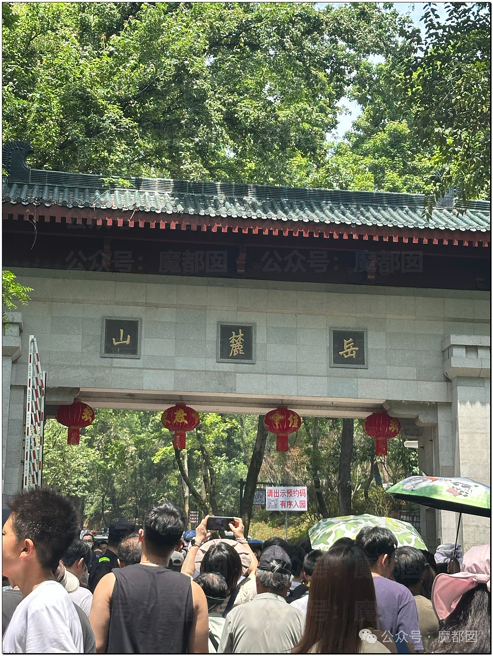 五一假期末尾更疯狂!国内景区人流量再攀高峰,心肝脾肺肾都挤出来(视频/组图) - 70