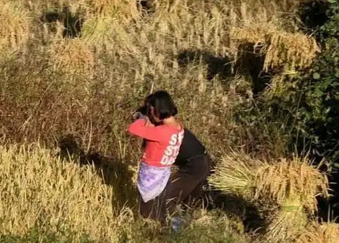 23岁朝鲜姑娘远嫁上海，7年寄回50万，回家探亲时却傻眼了（组图） - 1