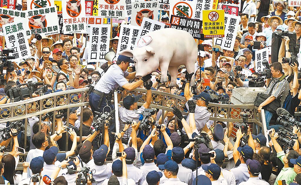 澳洲“问题猪”：复验含莱剂将销毁，台湾食药署：进口商称运输业者误装（图） - 1