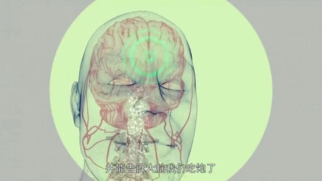 以为少吃就能瘦？BBC纪录片扎心揭秘：人胖分3种，有些人节食根本瘦不下来（组图） - 36