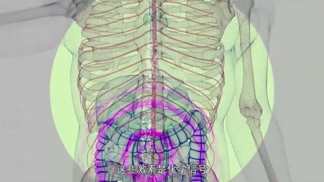 以为少吃就能瘦？BBC纪录片扎心揭秘：人胖分3种，有些人节食根本瘦不下来（组图） - 35