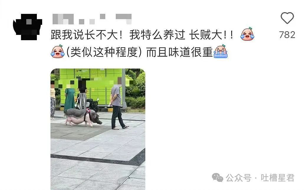 【爆笑】“网购被无良商家欺骗能有多搞笑？”哈哈哈商家你的良心不会痛吗（组图） - 88