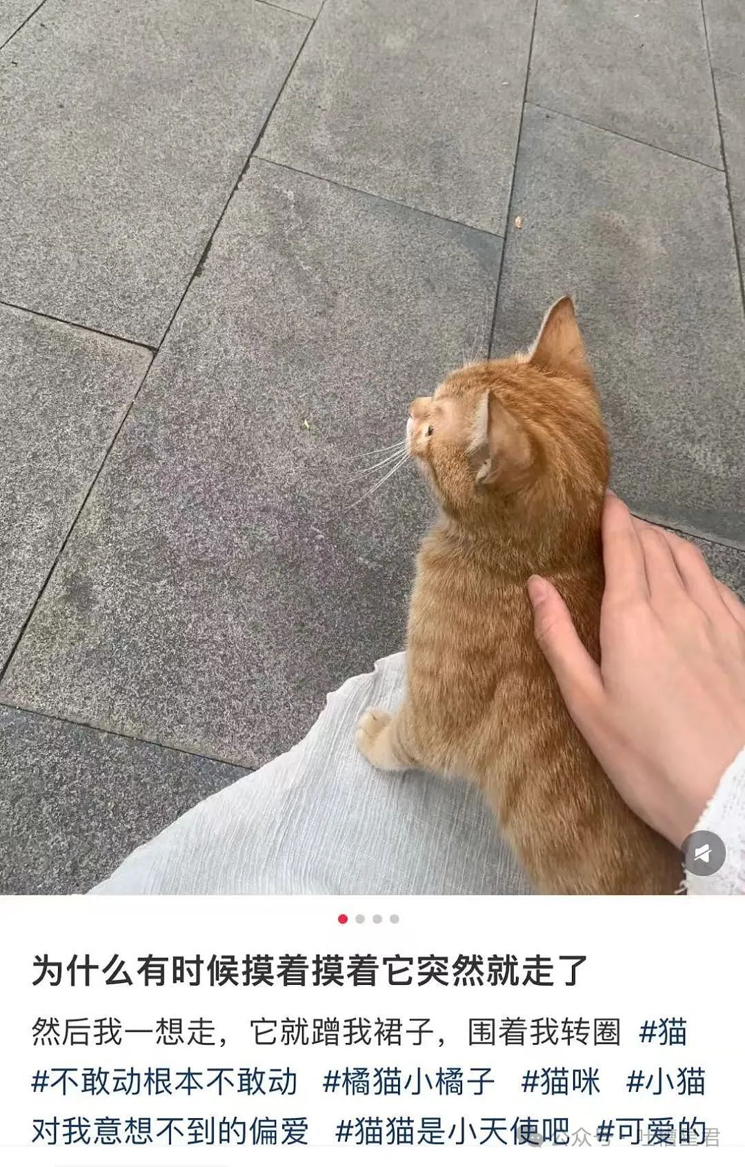【爆笑】“网购被无良商家欺骗能有多搞笑？”哈哈哈商家你的良心不会痛吗（组图） - 61