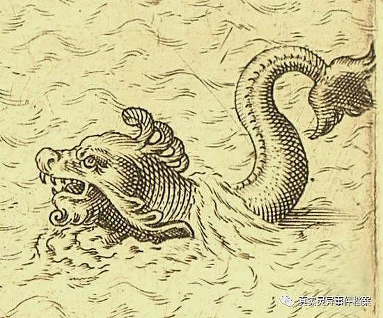 关于旧时青岛“海怪”事件（组图） - 2