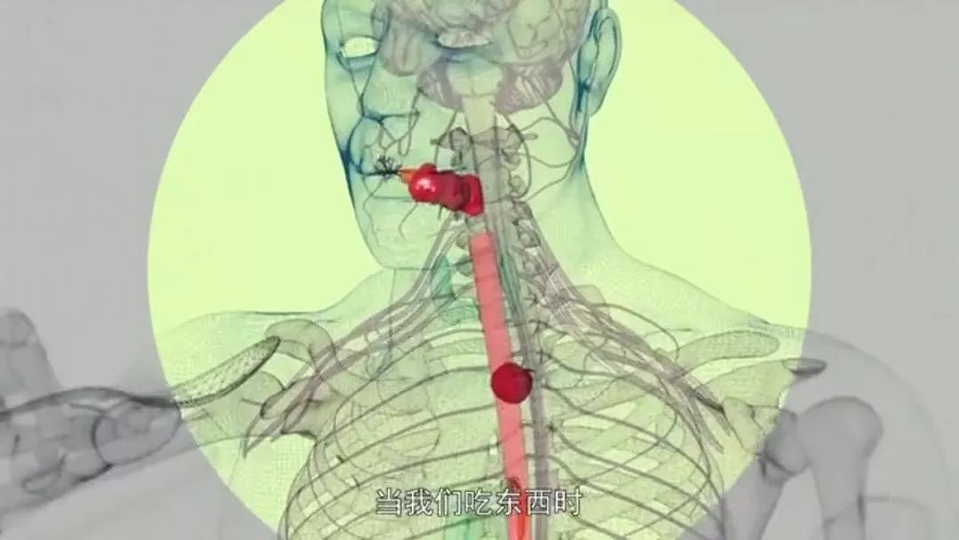 以为少吃就能瘦？BBC纪录片扎心揭秘：人胖分3种，有些人节食根本瘦不下来（组图） - 62