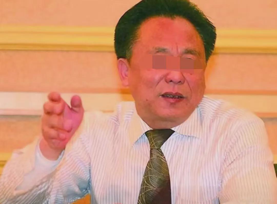 富豪养多个“老婆”每晚要“翻牌侍寝”？从劳动模范到全国通缉他都经历了什么（组图） - 15