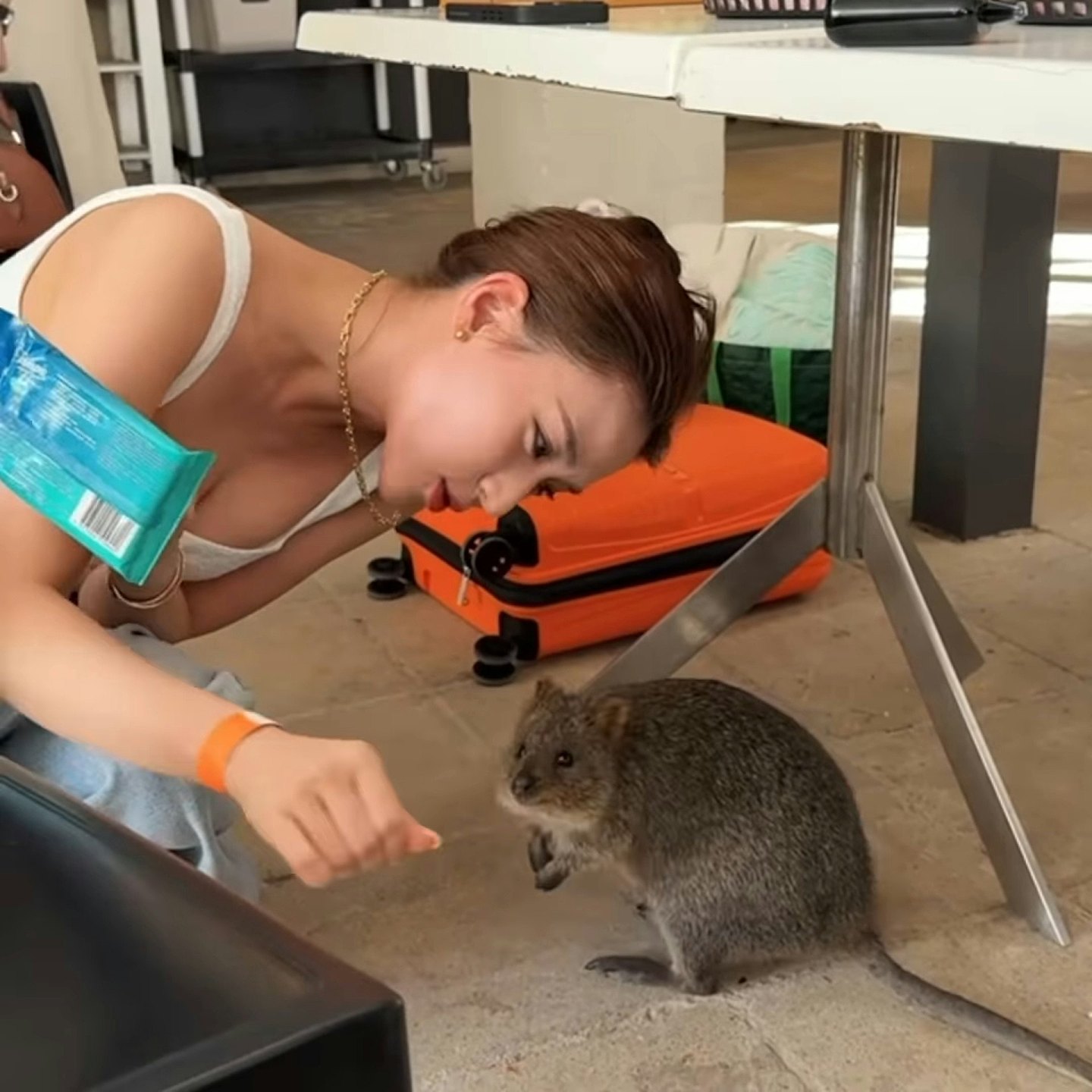 豪门千金宣布正式做YouTuber，到珀斯拍片提供“特种兵”式旅游（组图） - 8