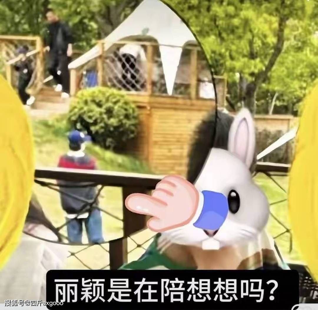 赵丽颖“隐婚瓜”再升级！带儿子郊游疑似赵德胤陪同，双方未回应（组图） - 11