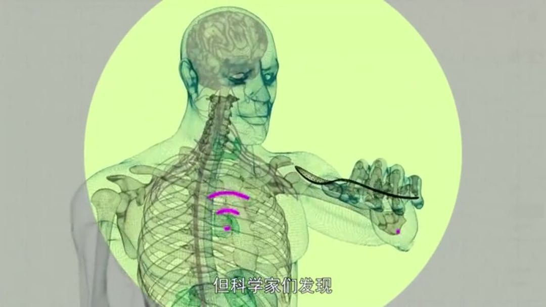 以为少吃就能瘦？BBC纪录片扎心揭秘：人胖分3种，有些人节食根本瘦不下来（组图） - 59