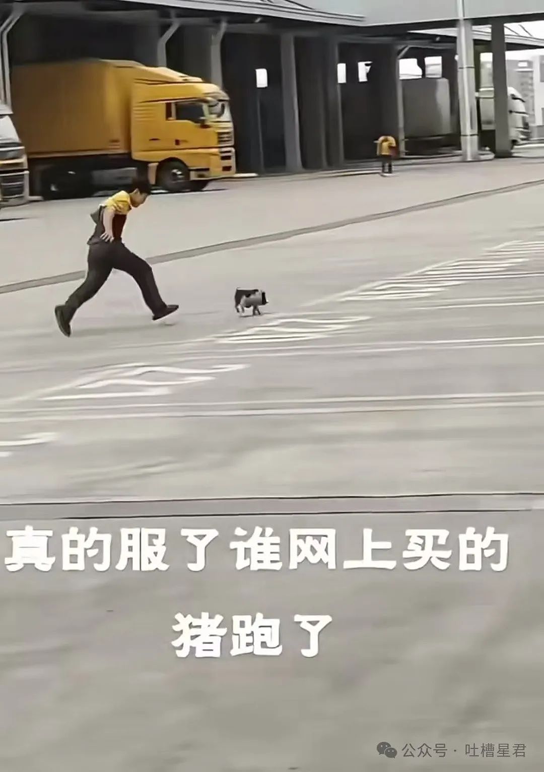 【爆笑】“网购被无良商家欺骗能有多搞笑？”哈哈哈商家你的良心不会痛吗（组图） - 87